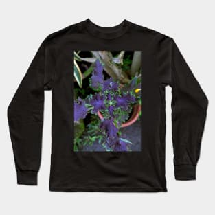 Philippine ornamental plant Long Sleeve T-Shirt